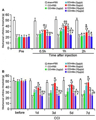 Intra-CA1 Administration of Minocycline Alters the Expression of Inflammation-Related Genes in Hippocampus of CCI Rats